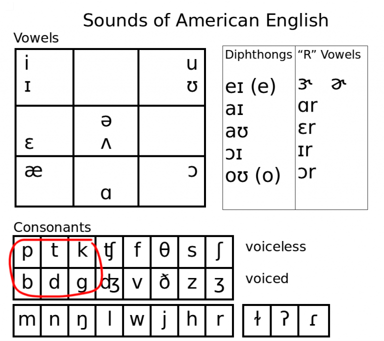 Lesson 6 – Plosive Consonants /p/, /b/, /t/, /d/, /k/, /g/ – American ...