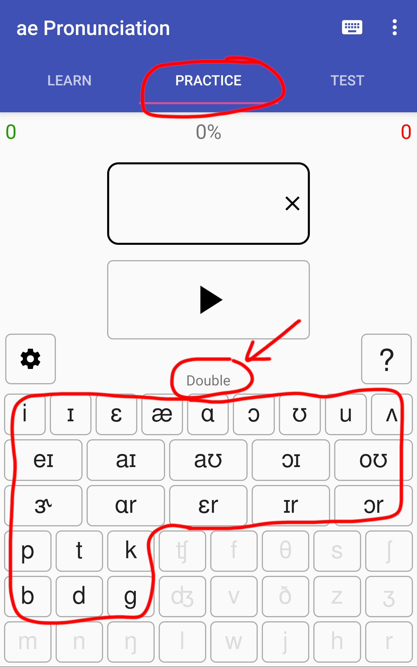 Vowels and pbtdkg